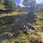 rado-bosco rado-bosco