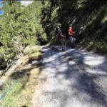 inizio-sentiero inizio-sentiero