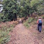 deviazione-al-trail-chicco deviazione-al-trail-chicco